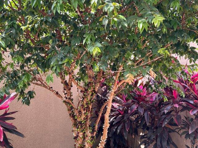 #349 - Casa em condomínio para Venda em Itupeva - SP - 1