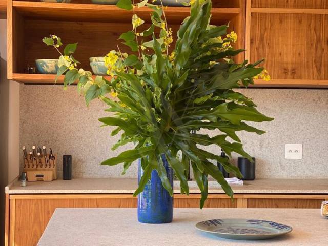 #352 - Casa em condomínio para Venda em Itupeva - SP - 2